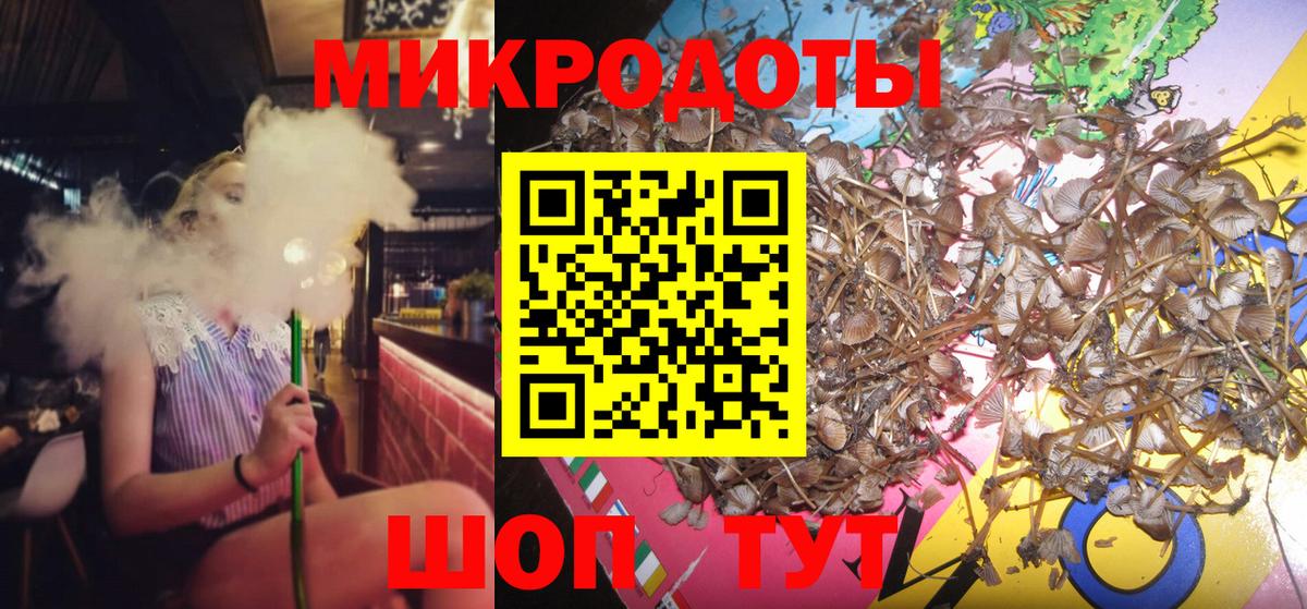 Галлюциногенные грибы Cubensis Касимов